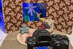 Stop Motion with Amelia Garretson-Persans