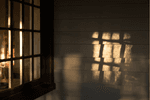 January Intensive: Photographing the Golden Hour Light of Winter with Deb Dawson (Online)