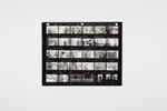 Archival Arrangements: The Gatherer’s Guide to Editing with Maddie King (Online)