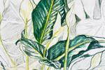 Floral Drawing from Life with Grace Hager